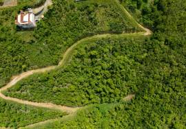 Soldier's Hill Hillside Estate West