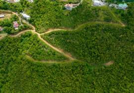 Soldier's Hill Hillside Estate West