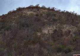 Fat Hog's Bay Hilltop Land