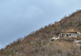 Fat Hog's Bay Hilltop Land