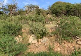 0.6 Ac Waterfront Land Lot, Hawksnest