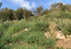 0.6 Ac Waterfront Land Lot, Hawksnest