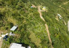 Little Harbour House Lots JVD