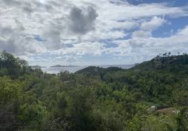 Paraquita Bay Sea View Land lots Paraquita Bay Sea View Land lots