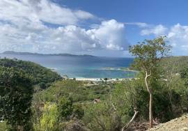 Paraquita Bay Sea View Land lots Paraquita Bay Sea View Land lots