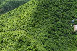 Paraquita Bay Investment Lot