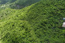 Paraquita Bay Investment Lot