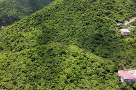 Paraquita Bay Investment Lot