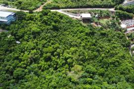 Mount Healthy Starter Lot