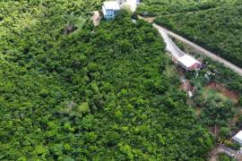 Mount Healthy Starter Lot