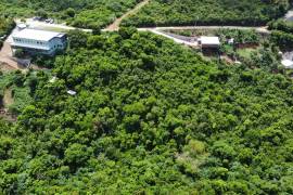 Mount Healthy Starter Lot