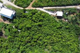 Mount Healthy Starter Lot