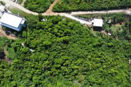 Mount Healthy Starter Lot