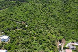 Large Land Lot, Duff Bottom