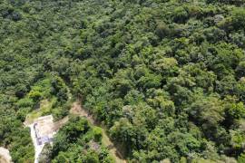 Cane View, Windy Hill Home Lot