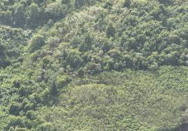 Bradie Ghut Apartment Lot Airport View, East End