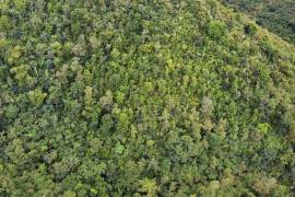 Paraquita Bay View, Spring Ghut