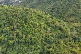 Paraquita Bay View, Spring Ghut