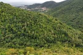Paraquita Bay View, Spring Ghut