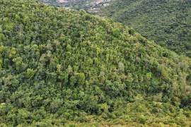 Paraquita Bay View, Spring Ghut