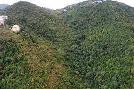 Paraquita Bay View, Spring Ghut