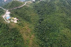 Paraquita Bay View, Spring Ghut
