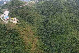 Paraquita Bay View, Spring Ghut