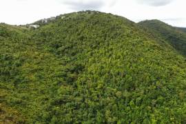 Paraquita Bay View, Spring Ghut