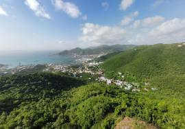 Butu Mountain Road Town View Lots