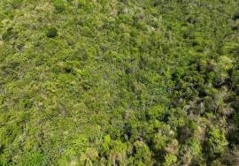 Greenbanks 3Ac Hillside Land Lot 2 Greenbanks 3Ac Hillside Land Lot 2