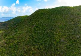 Land - For Sale -