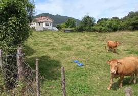 Developable Land for Sale in the Barrio de Pino, Sámano, Castro Urdiales