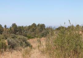 Estombar Land with project for Rural Tourism