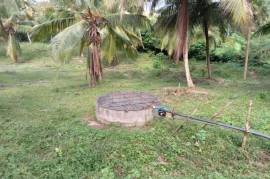 2 Plots of land for sale in Kandakalle Estate Sri