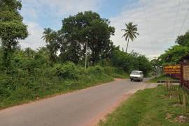 2 Plots of land for sale in Kandakalle Estate Sri