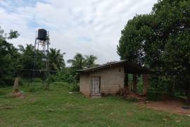 2 Plots of land for sale in Kandakalle Estate Sri