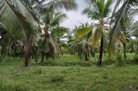 2 Plots of land for sale in Kandakalle Estate Sri
