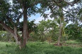 2 Plots of land for sale in Kandakalle Estate Sri
