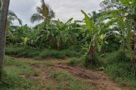 2 Plots of land for sale in Kandakalle Estate Sri