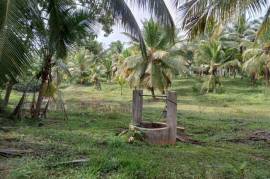 2 Plots of land for sale in Kandakalle Estate Sri