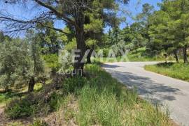 Agricultural 5758 sq.m for sale