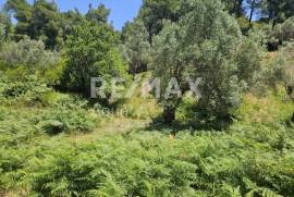 Agricultural 5758 sq.m for sale