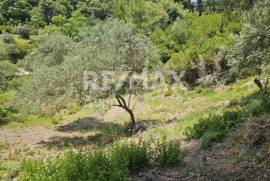 Agricultural 5758 sq.m for sale