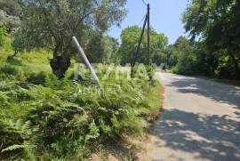 Agricultural 5758 sq.m for sale