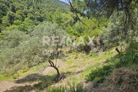 Agricultural 5758 sq.m for sale