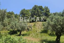 Agricultural 5758 sq.m for sale