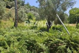 Agricultural 5758 sq.m for sale