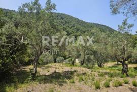 Agricultural 5758 sq.m for sale