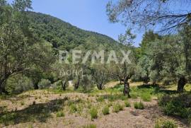 Agricultural 5758 sq.m for sale