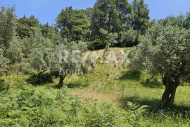 Agricultural 5758 sq.m for sale
